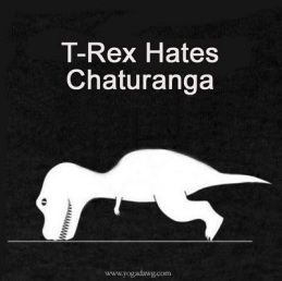 funny-T-Rex-chaturanga